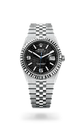 Rolex Prepetual Land Dweller