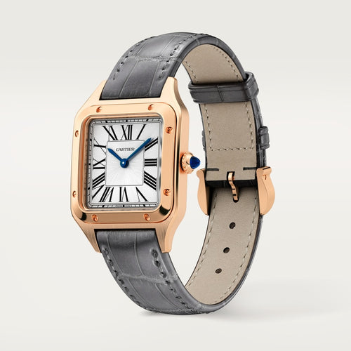 Cartier Santos Dumont 38mm