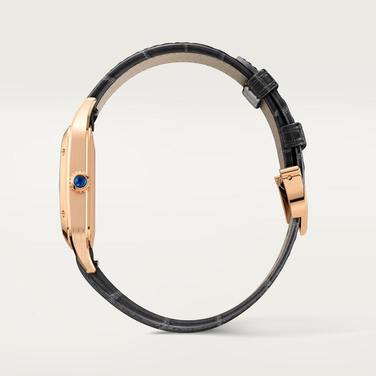 Cartier Santos Dumont 38mm