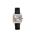 Cartier Santos Dumont 38mm